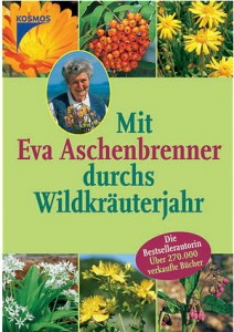 Mit Eva Aschenbrenner durchs Wildkräuterjahr