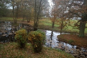 Blick auf Teich vorm Seminarraum